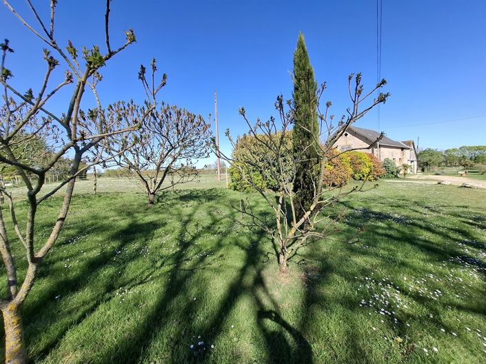 Image No.5-House for sale