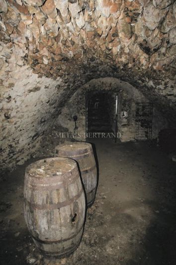 Image No.15-Maison de 4 chambres à vendre à Montbazon