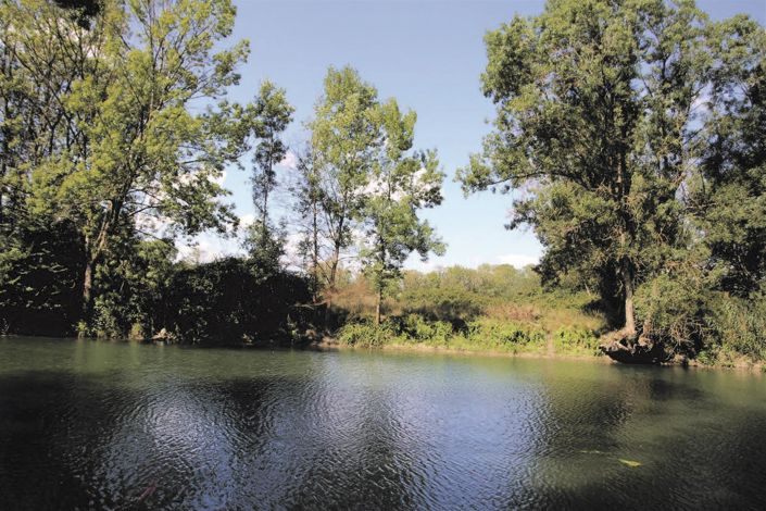 Image No.21-Maison de 4 chambres à vendre à Montbazon