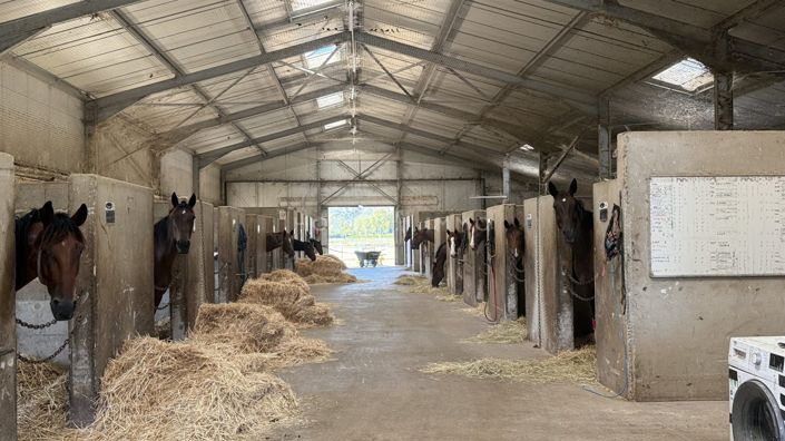 Image No.6-3 Bed House for sale