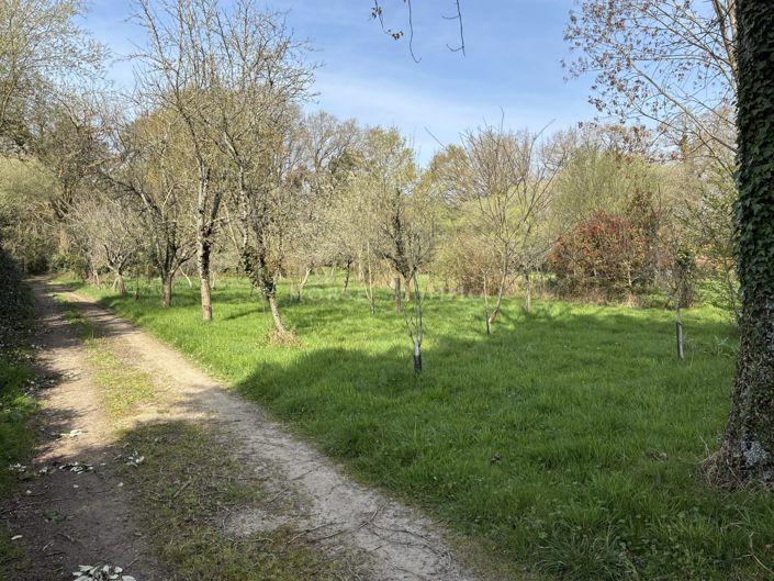 Image No.13-5 Bed House for sale