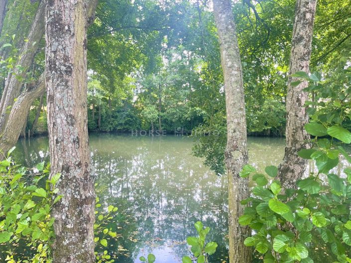 Image No.20-Maison de 9 chambres à vendre à Neuvy-le-Roi