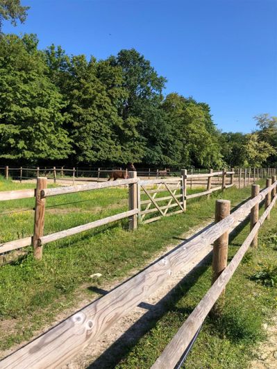 Image No.7-3 Bed House for sale