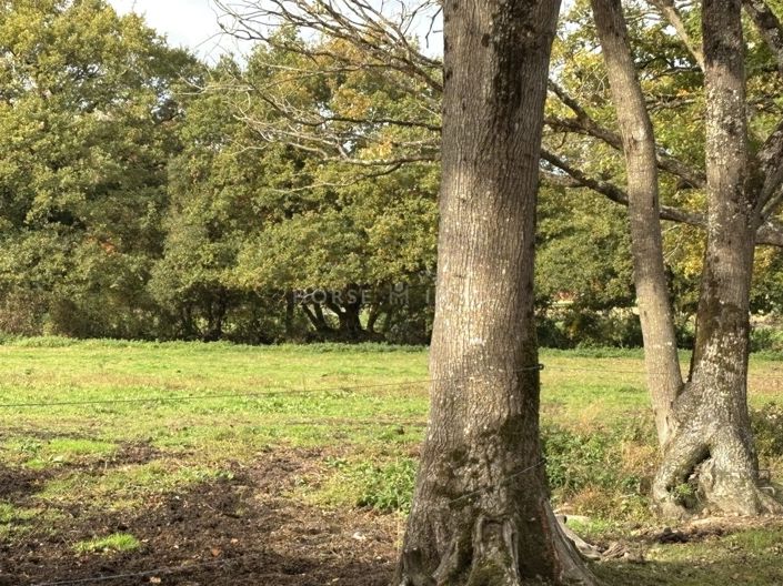 Image No.3-5 Bed House for sale