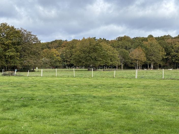 Image No.4-5 Bed House for sale