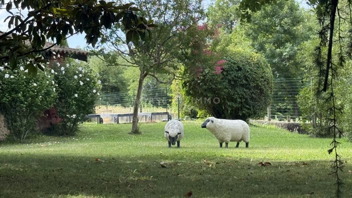 Image No.9-5 Bed House for sale