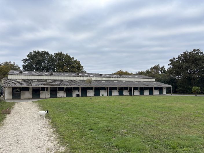 Image No.2-House for sale