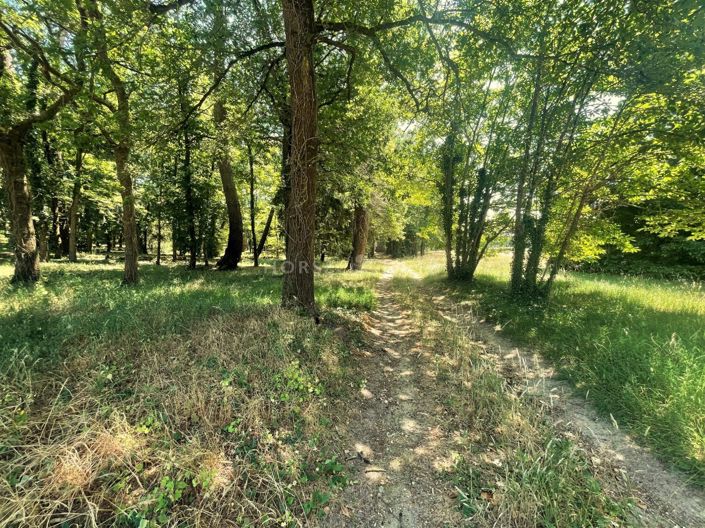 Image No.12-Maison de 7 chambres à vendre à Maine-et-Loire