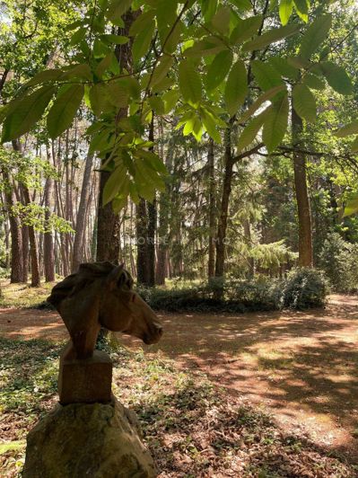 Image No.13-Maison de 7 chambres à vendre à Maine-et-Loire