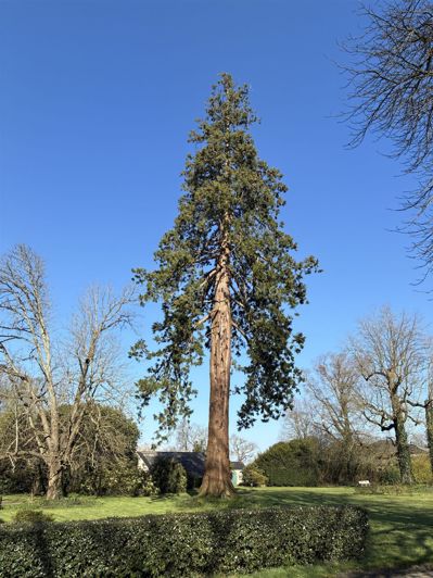 Image No.18-6 Bed Property for sale