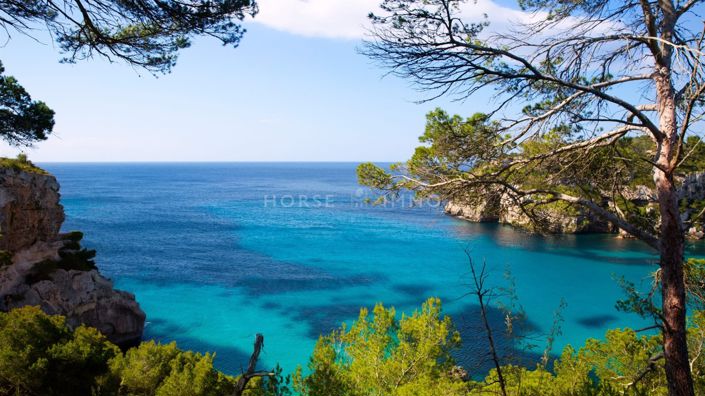 Image No.2-Property for sale