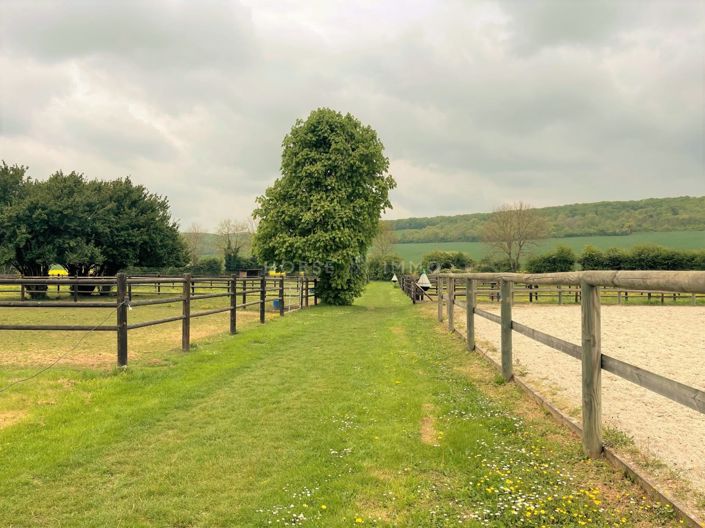 Image No.4-8 Bed House for sale