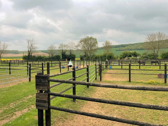 Image No.5-8 Bed House for sale