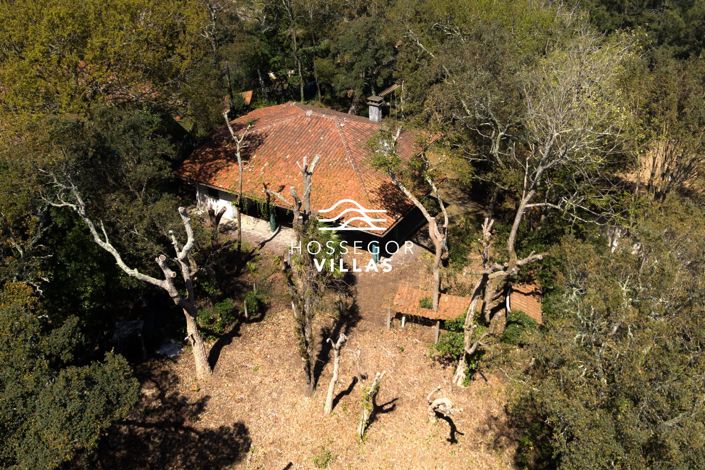 Image No.2-Maison de 5 chambres à vendre à Soorts-Hossegor