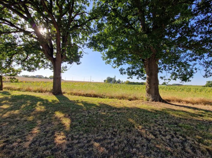 Image No.23-5 Bed House for sale