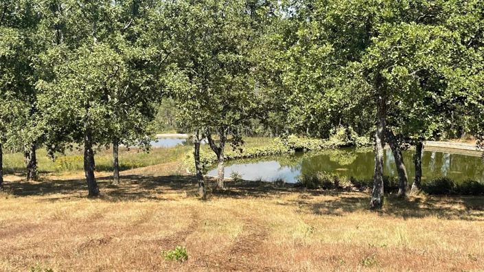 Image No.4-House for sale