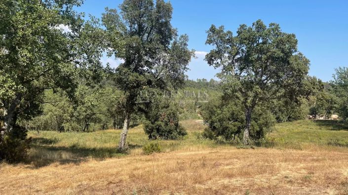 Image No.7-House for sale