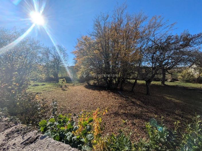 Image No.15-5 Bed House for sale