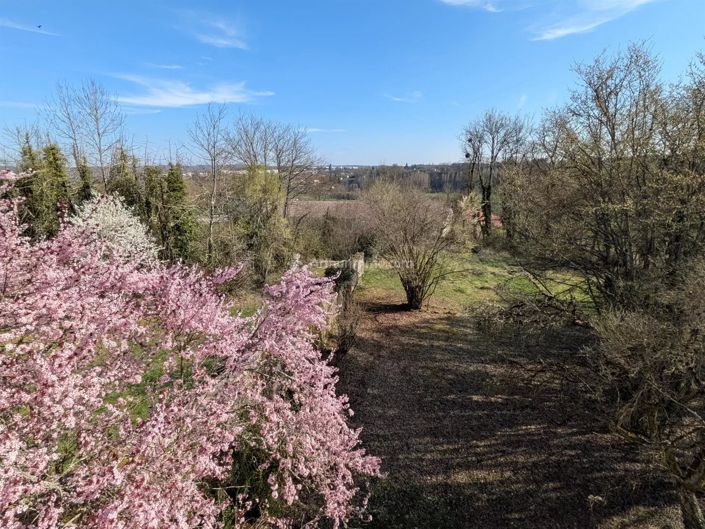 Image No.19-5 Bed House for sale