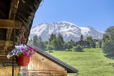 ayhm2vihcajgdrz110