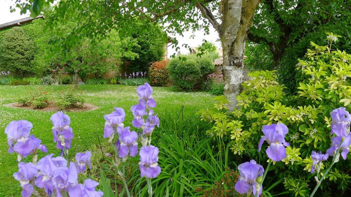 Image No.5-5 Bed House for sale