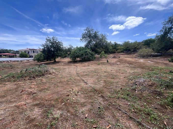 Image No.9-5 Bed House for sale
