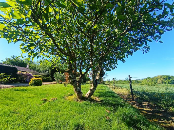 Image No.2-4 Bed House for sale