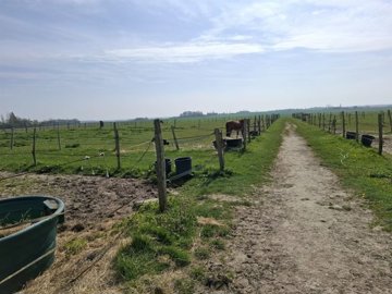 a88v6w5dzderf78v3