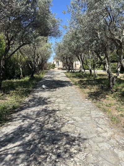 Image No.6-4 Bed House for sale