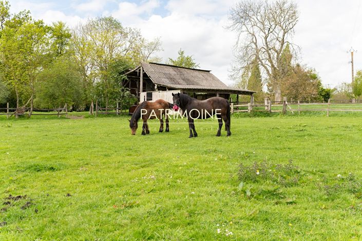 Image No.5-4 Bed House for sale