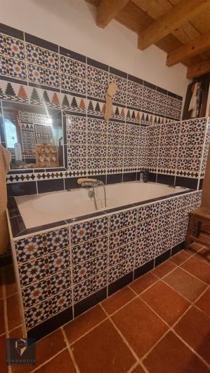 Image No.16-8 Bed House for sale
