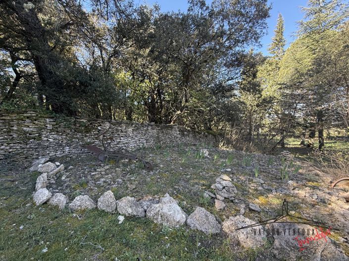 Image No.31-5 Bed House for sale