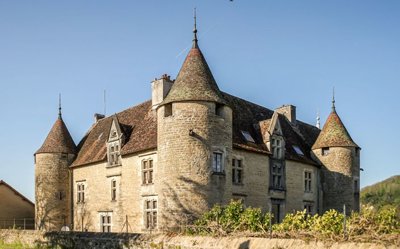 1 - Domblans, Property