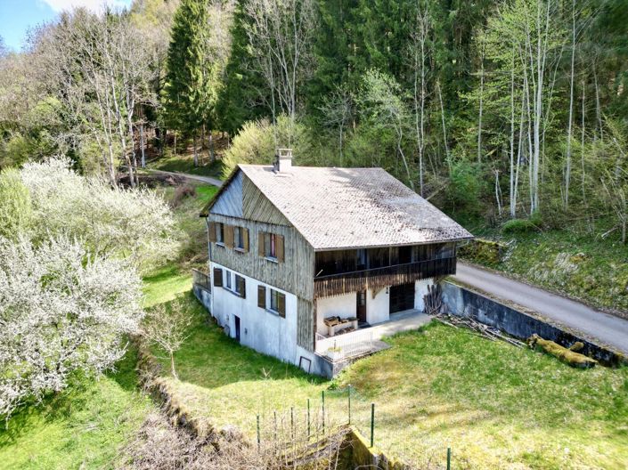 Detached house - La Vernaz – Renovation project
