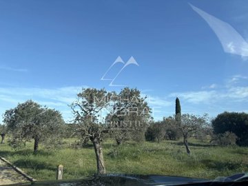 agt79eytdpoh2ced11