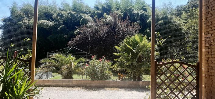 Image No.8-6 Bed House for sale