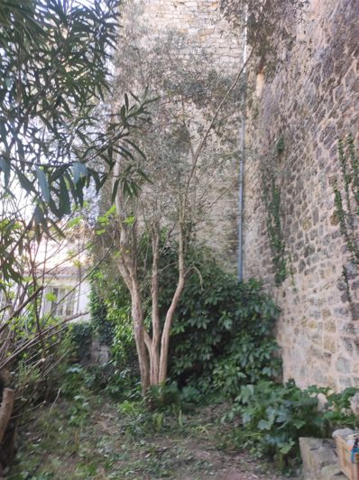 Image No.4-Maison de 2 chambres à vendre à Lorgues