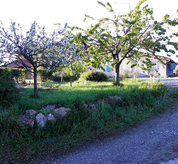 Image No.41-5 Bed House for sale