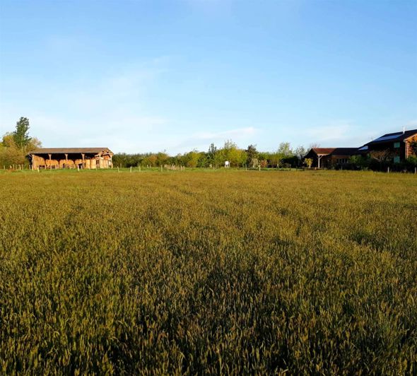 Image No.42-5 Bed House for sale