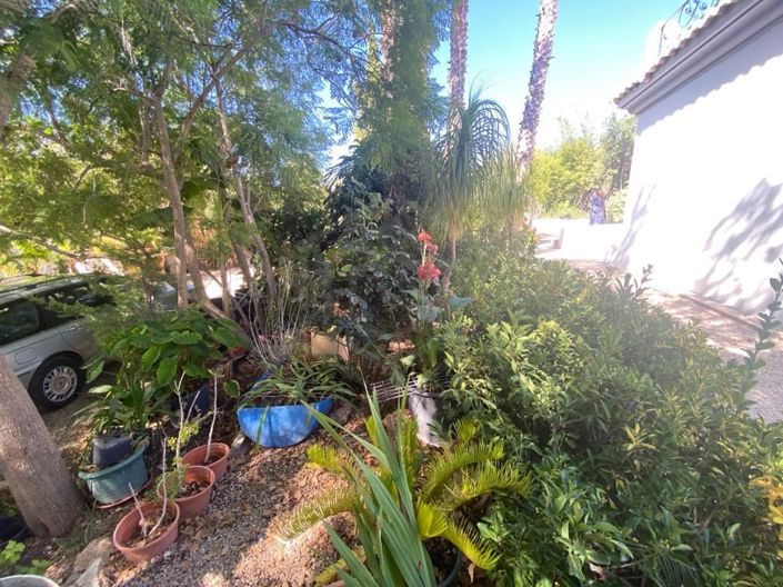 Image No.37-4 Bed House for sale
