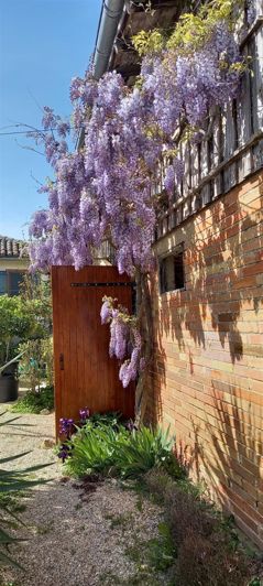 Image No.30-3 Bed House for sale