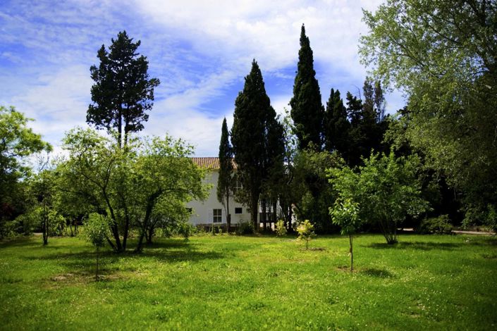 Image No.8-Maison à vendre à Bouches-du-Rhône