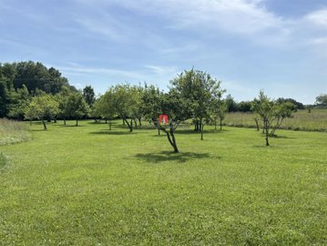 abd161463kwqpjp812