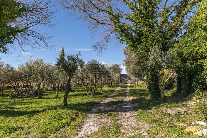 Image No.4-4 Bed House for sale