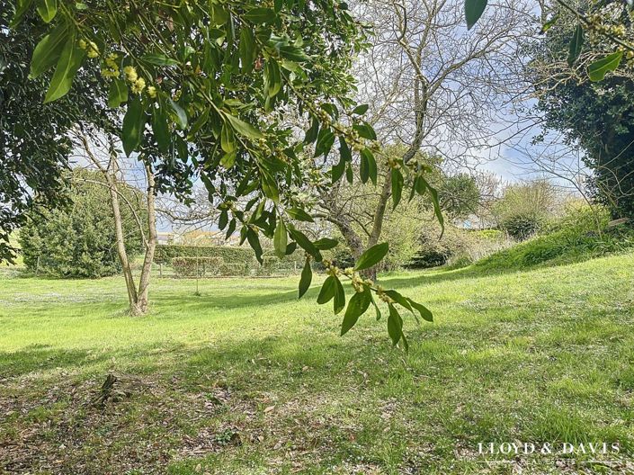 Image No.16-4 Bed House for sale
