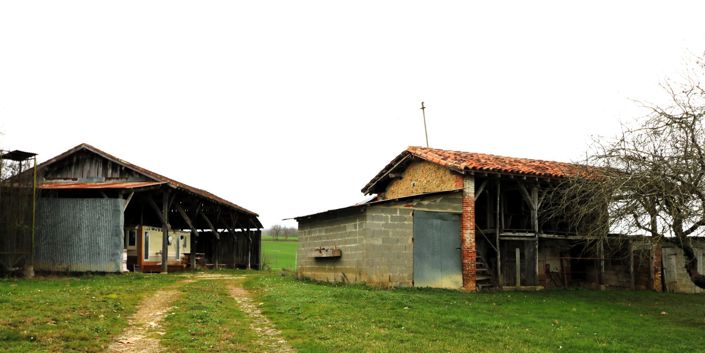 Image No.19-5 Bed House for sale