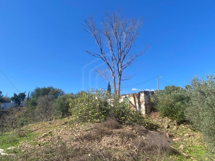 Image No.14-6 Bed House for sale