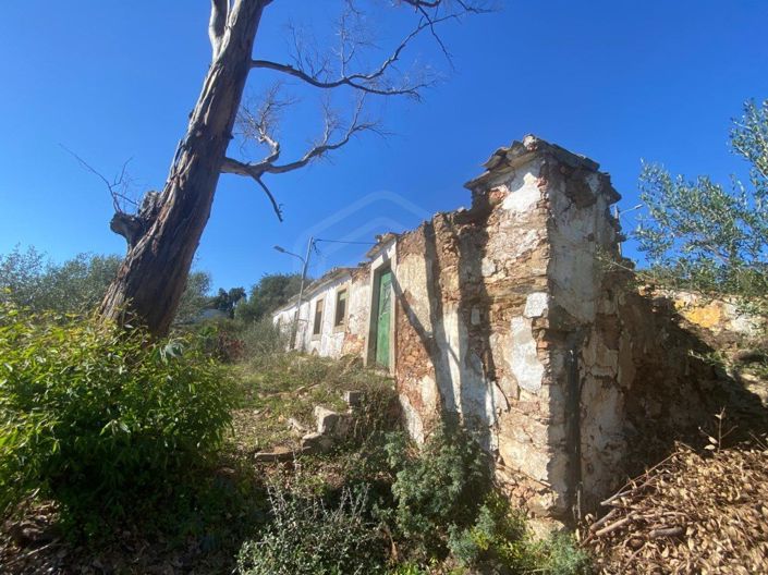 Image No.19-6 Bed House for sale