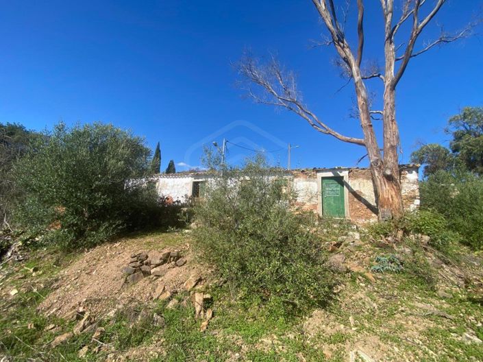 Image No.2-6 Bed House for sale