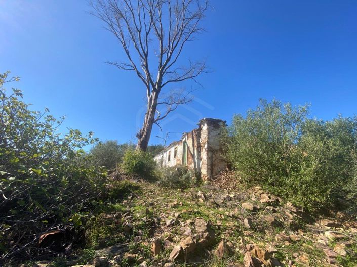 Image No.20-6 Bed House for sale
